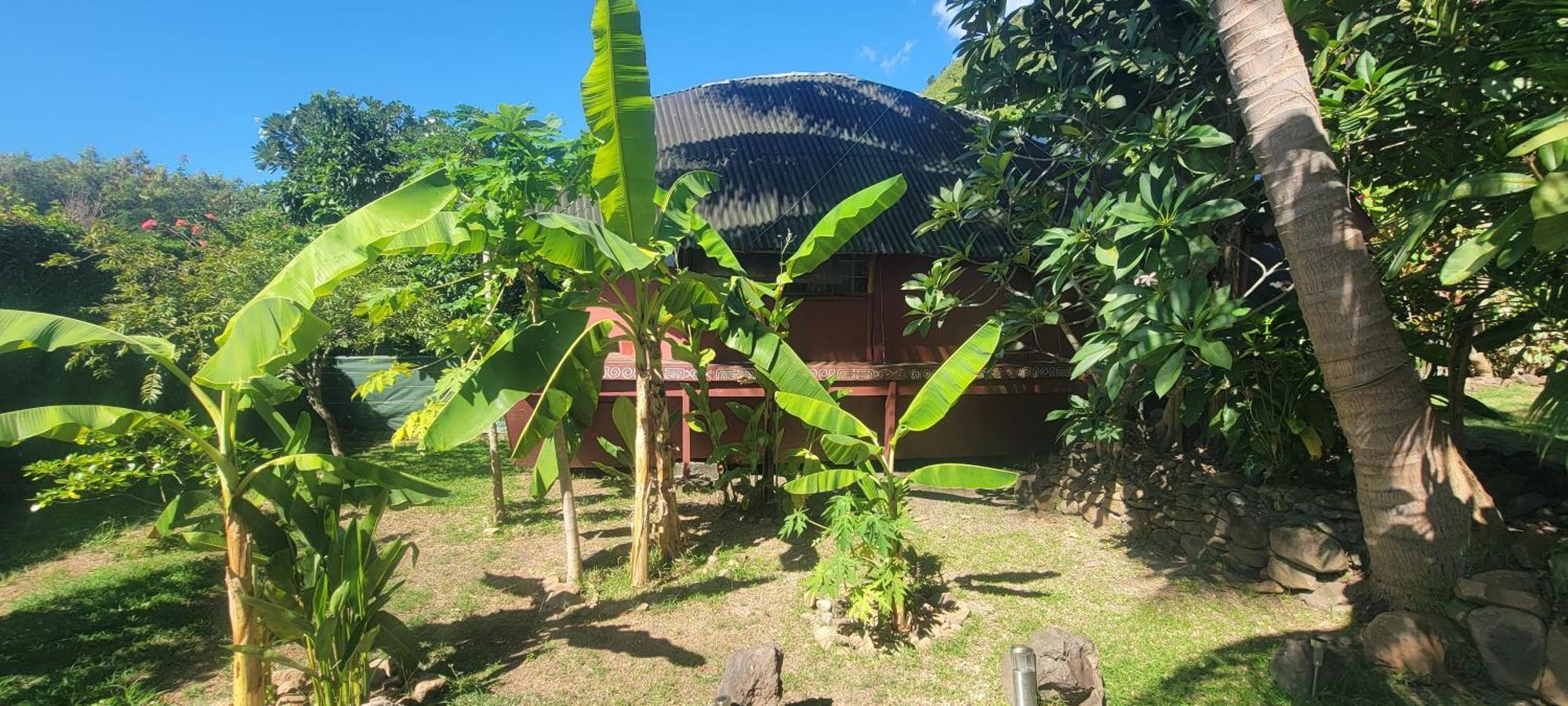 Location " La Pirogue " Maison D'Hotes A Moorea Haapiti Eksteriør billede
